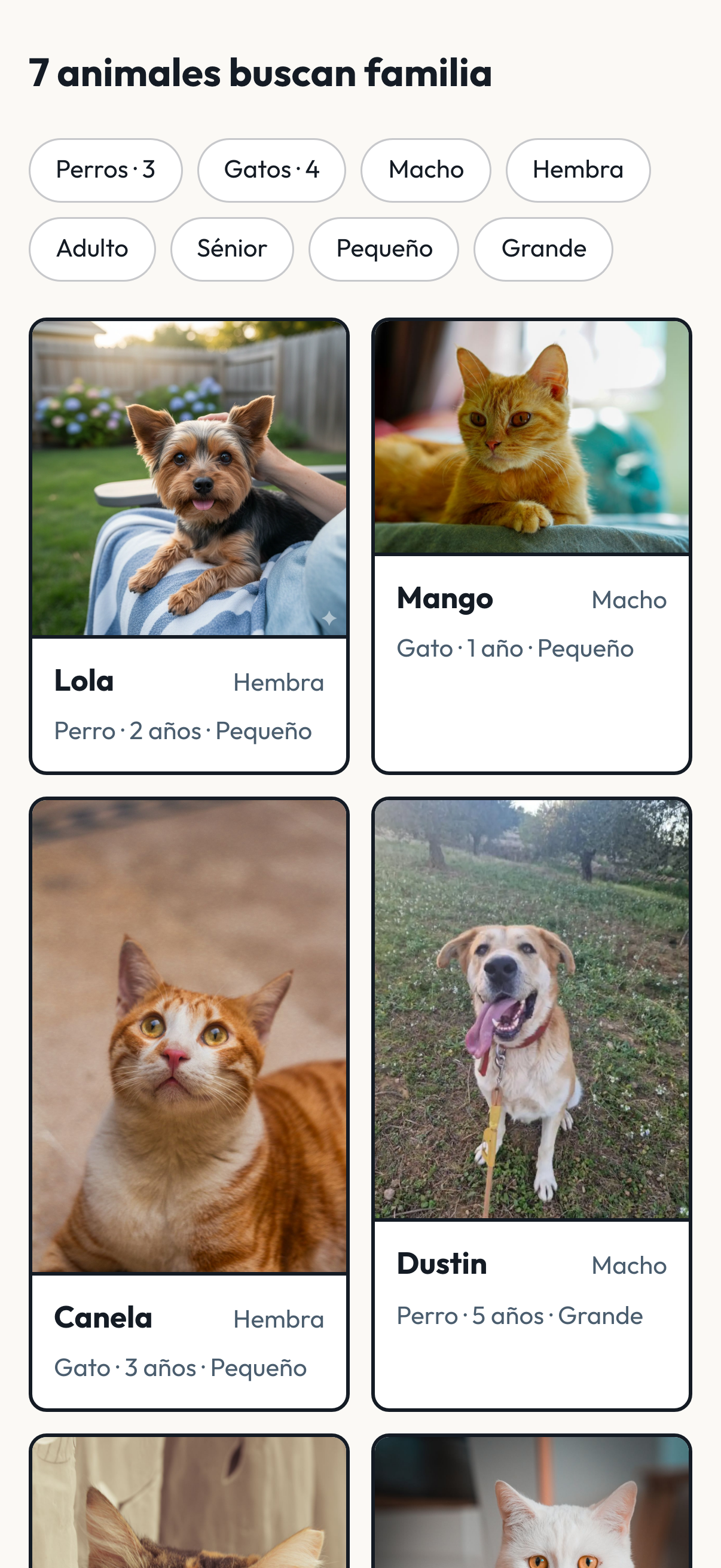 Escaparate público de una protectora en el móvil, con los animales que buscan familia